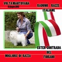 Raduno Nazionale RAZZE ITALIANE 2011 - 1a CLASS. Migliore di RAZZA